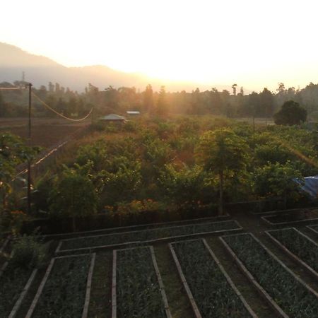 Forest Side Farm - Homestay At Kotabagh Near Nainital And Jim Corbett Exterior foto